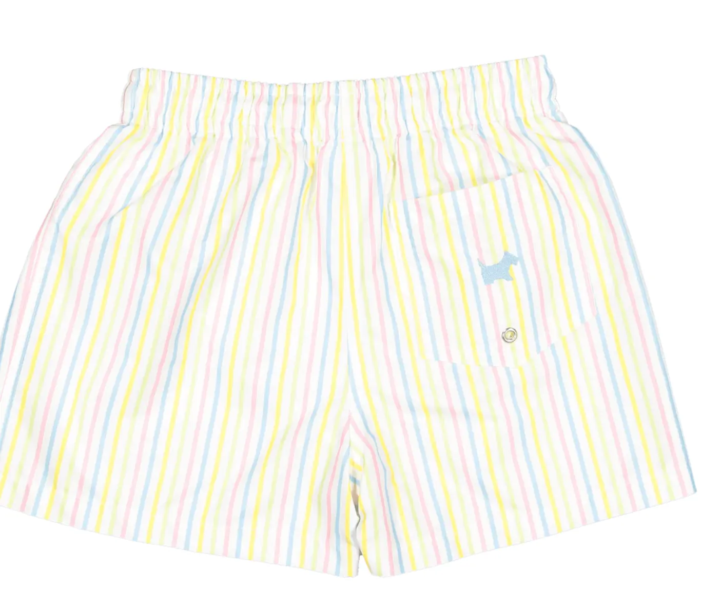 Celebration Swim Trunks