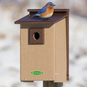 Duncraft Bird-Safe® Premium Observation Bluebird House