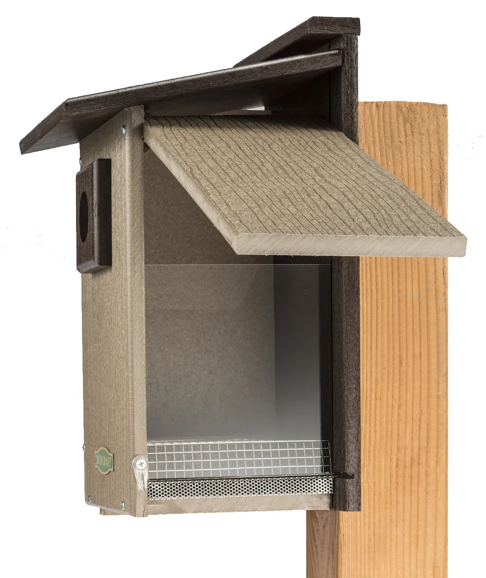 Duncraft Bird-Safe® Premium Observation Bluebird House