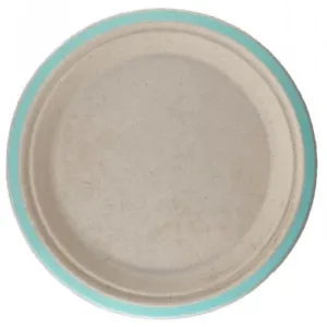 Mint Green Sugarcane Plate 230mm 10pk