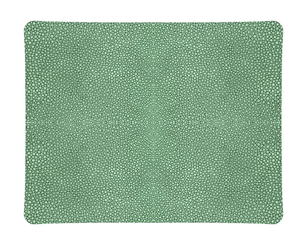 Shagreen Acrylic Tray